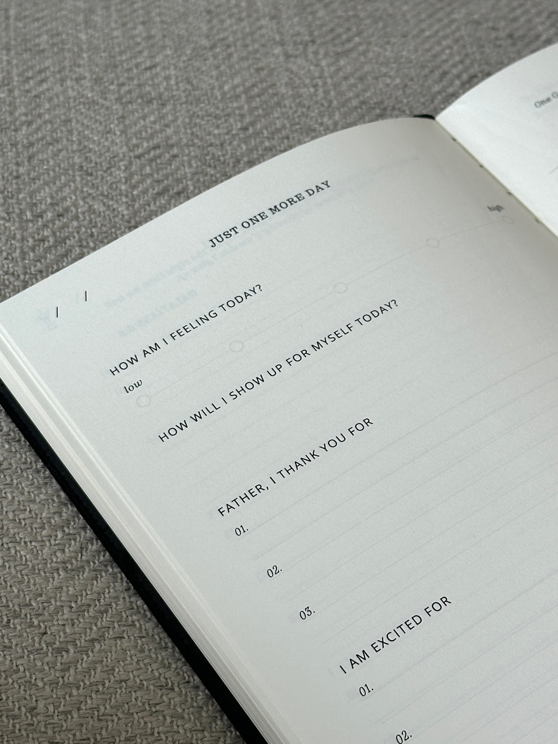 Just One More Day journal